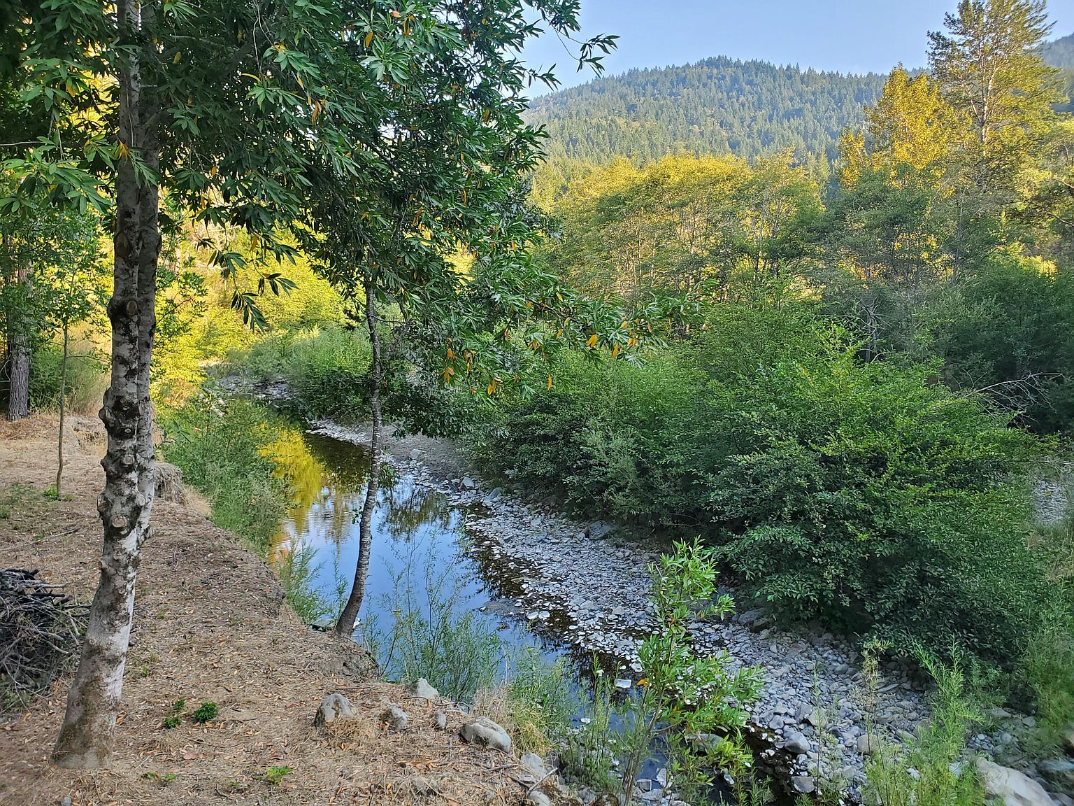 284 Pine Dr 6, Miranda, CA 95553 MLS 265637 Zillow