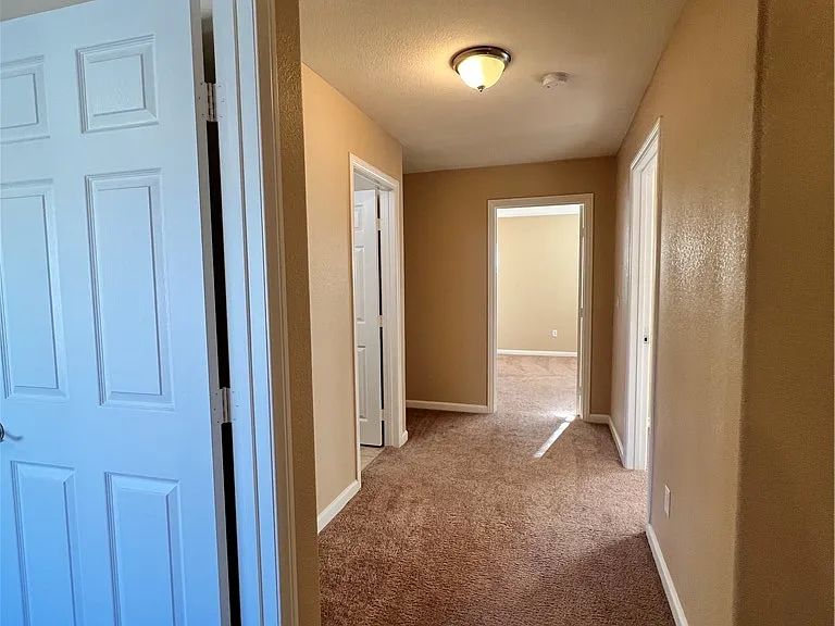 8237 Golden Flowers St — Photo 17