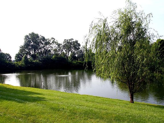 Pond View