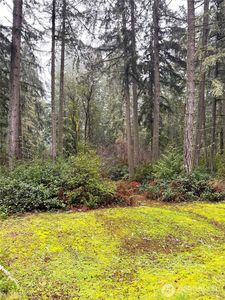 10509 Vantage Drive, Anderson Island, WA, 98303