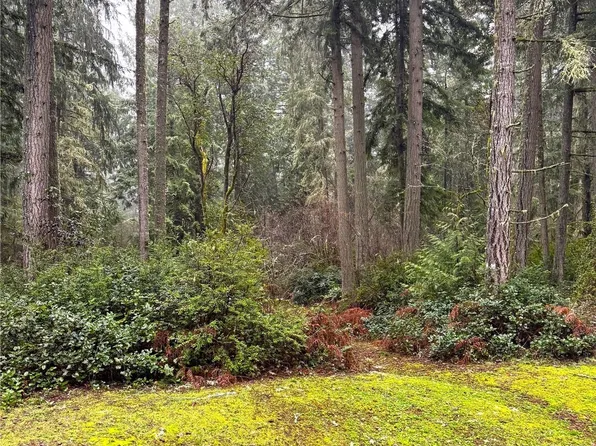 10509 Vantage Drive, Anderson Island, WA 98303
