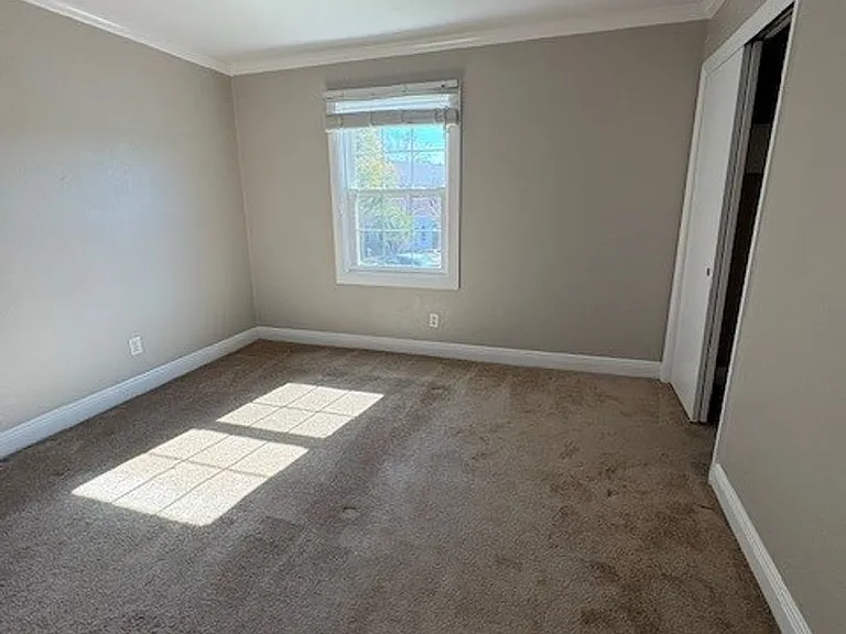 2539 Cedar Cypress Ct — Photo 18