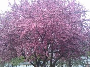 502 & 504 Lewison St, Adams, MN 55909