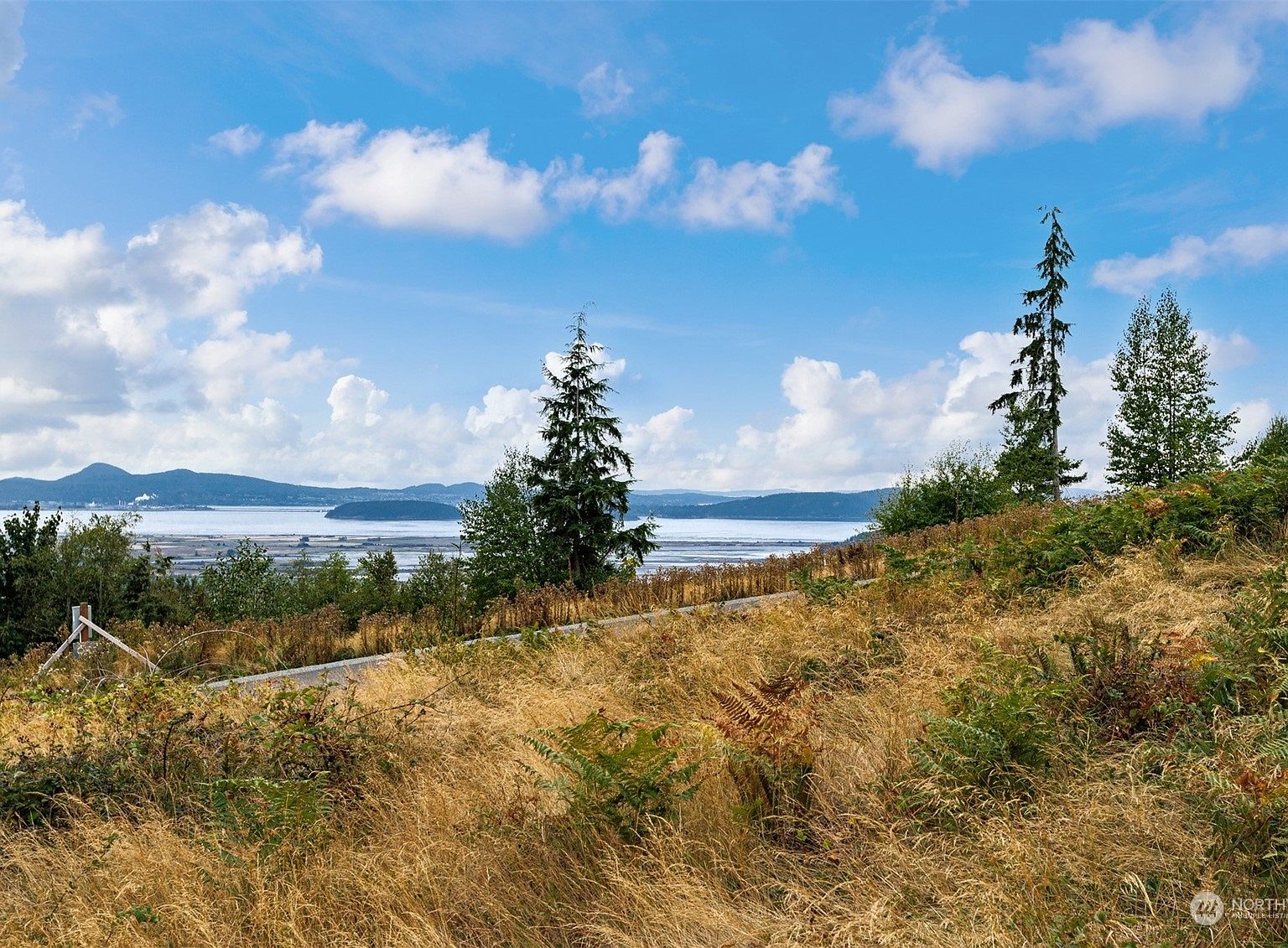 3291 Blanchard Knob Trail, Burlington, WA 98233 MLS 2162596 Zillow