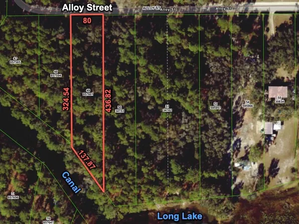 7255 Alloy St Lot 49, Webster, FL 33597