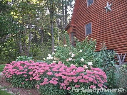 FRONT LEFT
						:
						With garden
