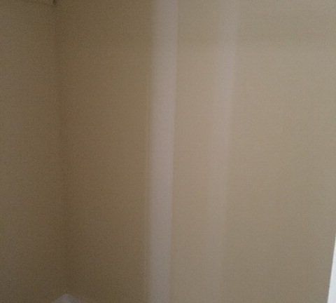 4th image of 1000 W Elizabeth St APT 2