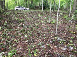 37 Lady Slipper Trl, Swannanoa, NC 28778