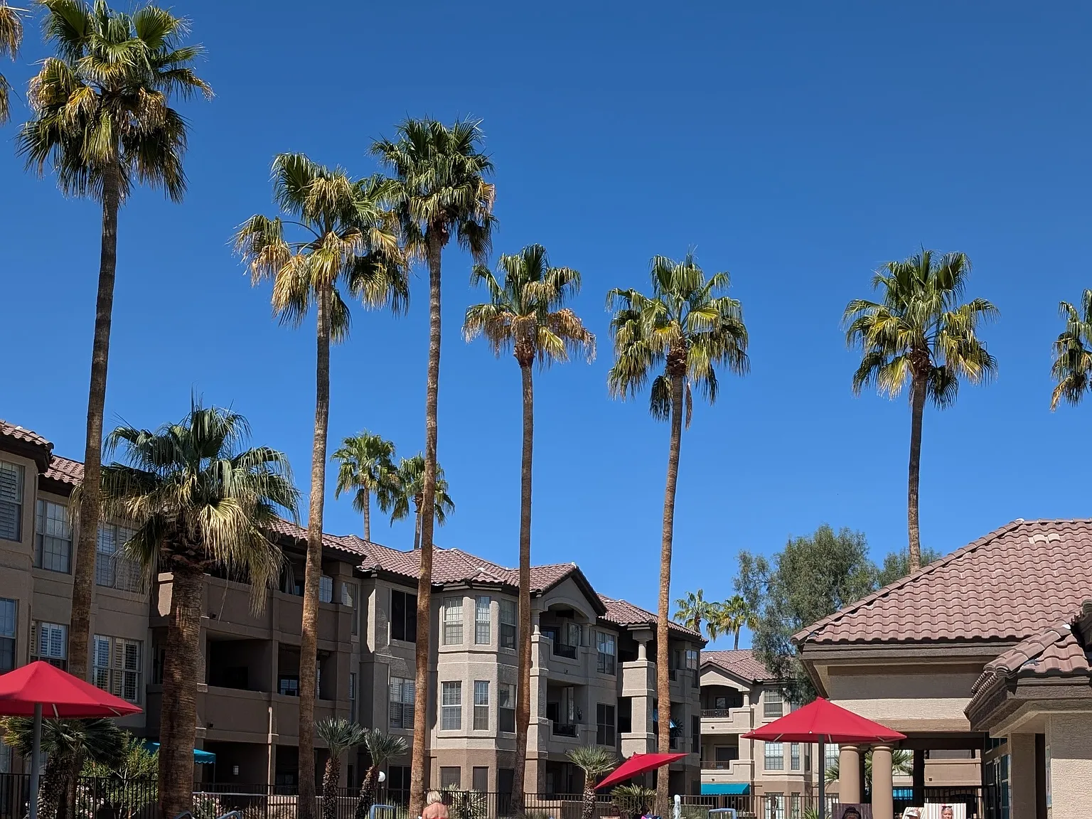 1 bed, 832 sqft, $1,800 — Photo 3