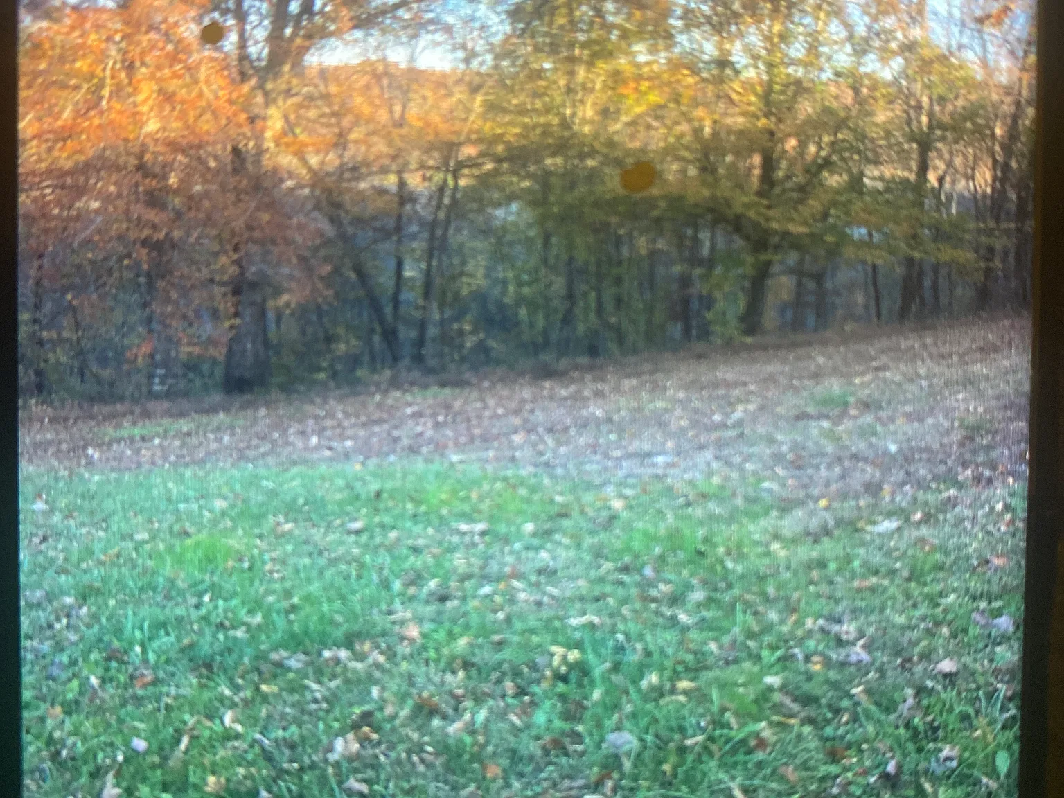 3 bed, 1400 sqft, $1,400 — Photo 2