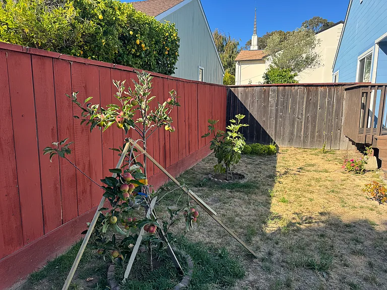 14 Cypress Ct — Photo 25