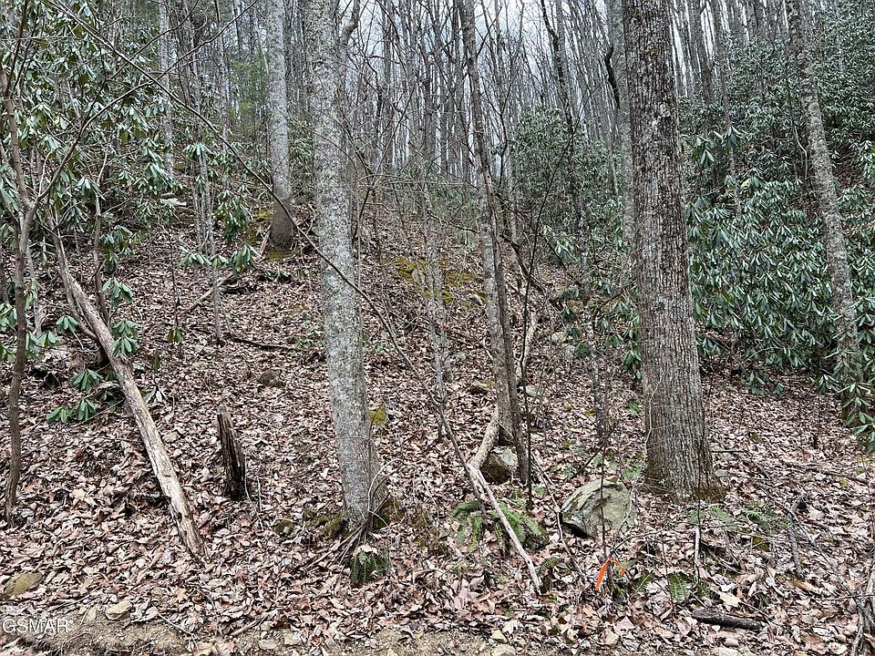 1st image of 10 John Sevier Dr Lot 10