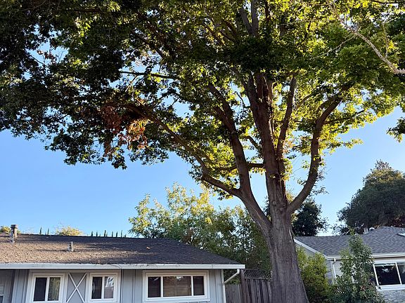 2nd image of 1674 Fawn Ct