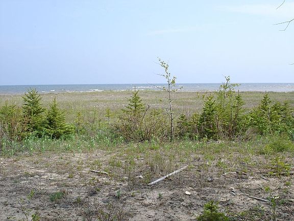4th image of Juniper Trail