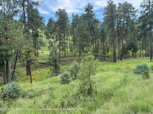 154 Stable Rd, Alto, NM 88312