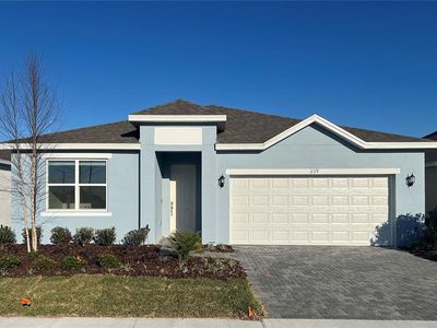 239 Bottle Brush Dr, Haines City, FL, 33844