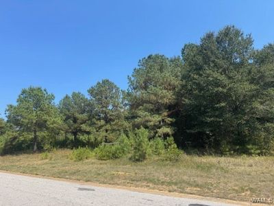 0 30th Ave, Northport, AL, 35476