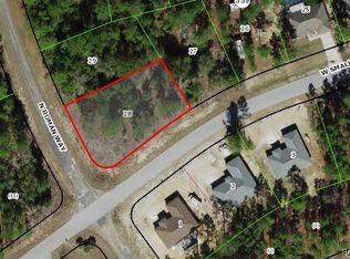 989 W Smallman Pl, Citrus Springs, FL 34434