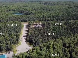 29384 S Wingtie St, Talkeetna, AK 99676