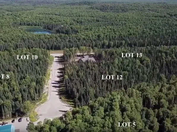 29384 S Wingtie St, Talkeetna, AK 99676