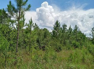 6 Tabernacle Rd, Hortense, GA 31543