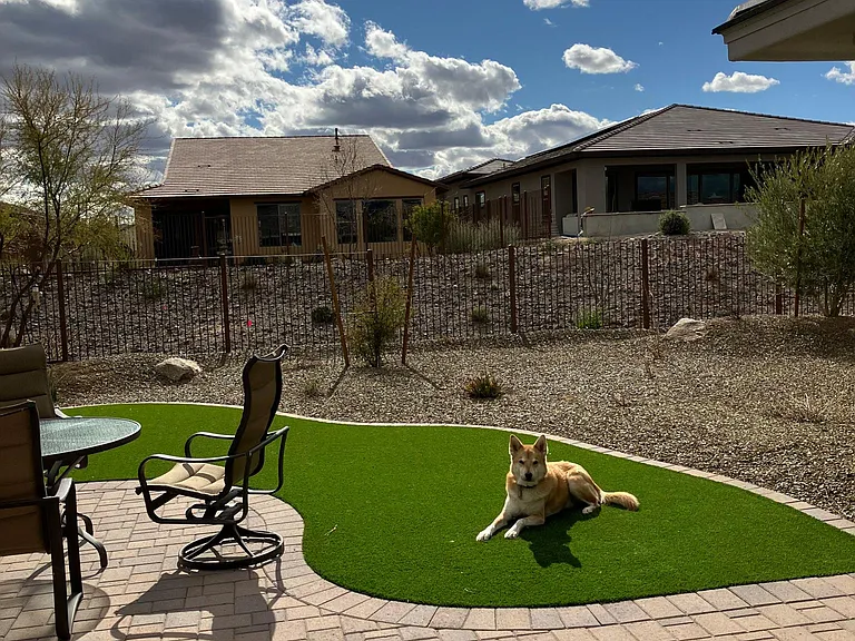 3191 Buckaroo Ct — Photo 19