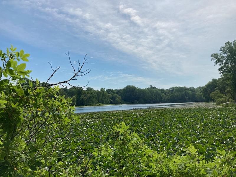 Garr Rd, Berrien Springs, MI 49103 MLS 21024200 Zillow