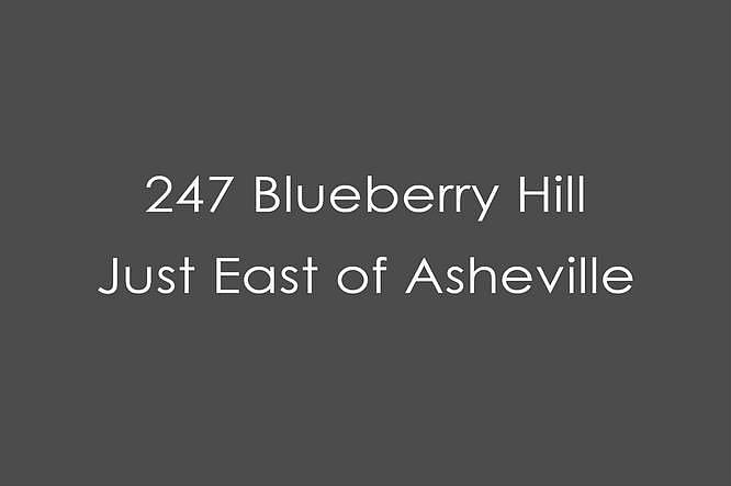 247 Blueberry Hill