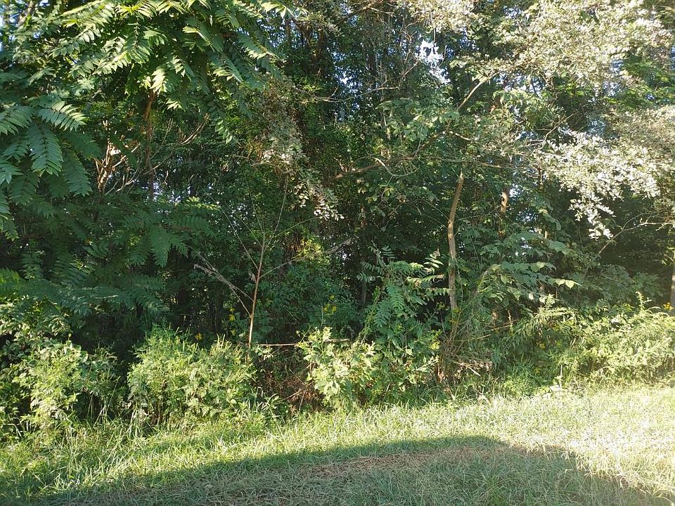 1st image of 113 Valarian Dr