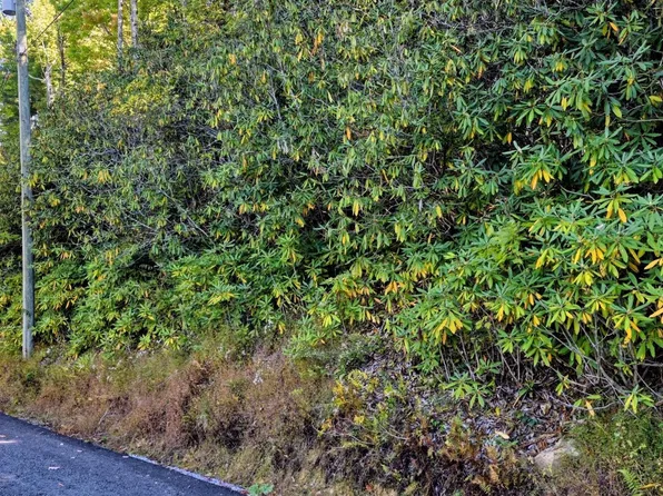 13 Overholt Trl Lot 13, Sevierville, TN 37862