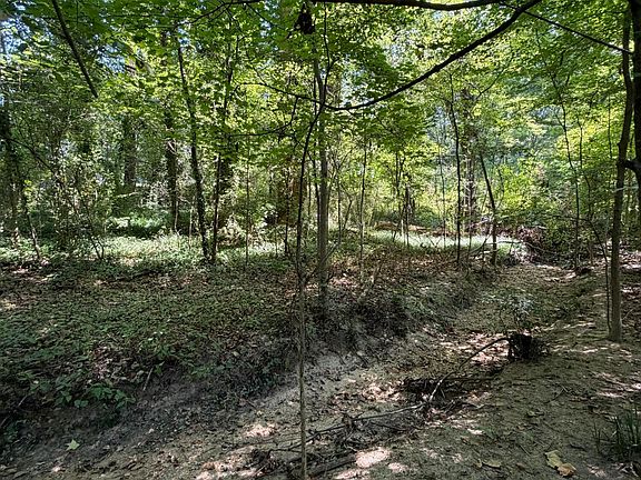 5th image of 5400 Juniper Ave Lot 41