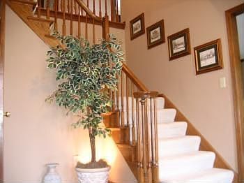5th image of 789 Weston Park Dr