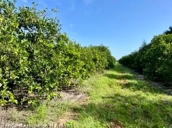 Steve Roberts Special Rd, Zolfo Springs, FL 33890