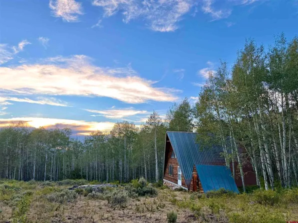 TBD Hwy 149 Road, Powderhorn, CO 81230