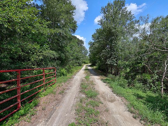 2nd image of 326 The Forest Rd