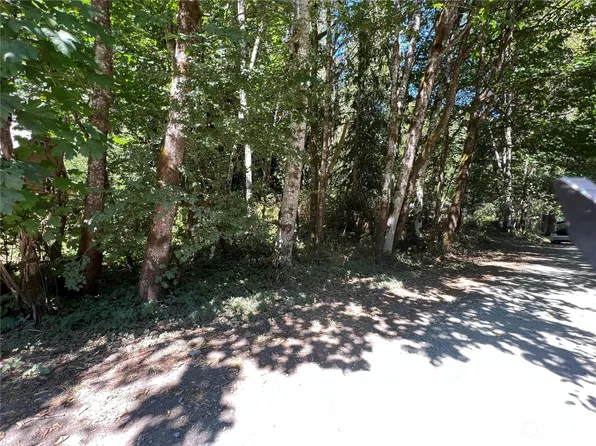 63781 E Cascade Drive, Marblemount, WA 98267