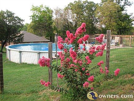 From back yard
