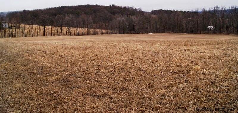 3rd image of GARDNERSVILLE Road