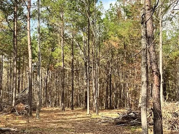 Nation Rd, Deville, LA 71328