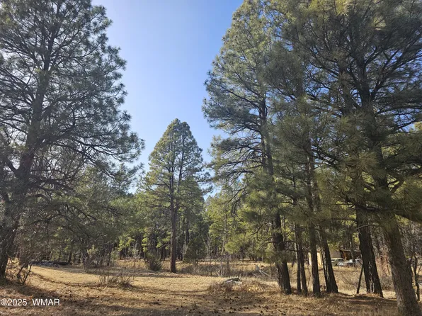 528 & 530 Summit Dr, Show Low, AZ 85901