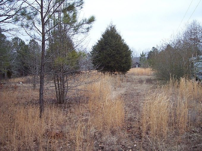 2nd image of 12891 Highway 157