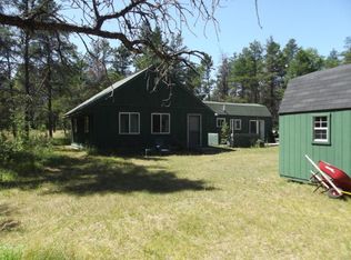 8397 Lovells Rd, Grayling, MI 49738