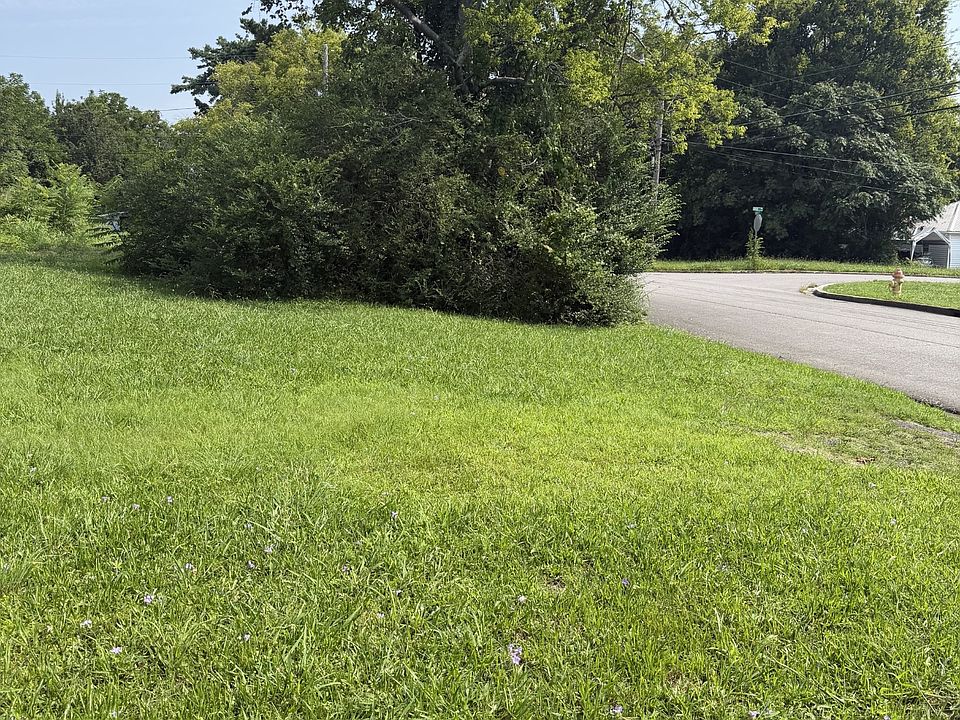 2nd image of 0 Morton St