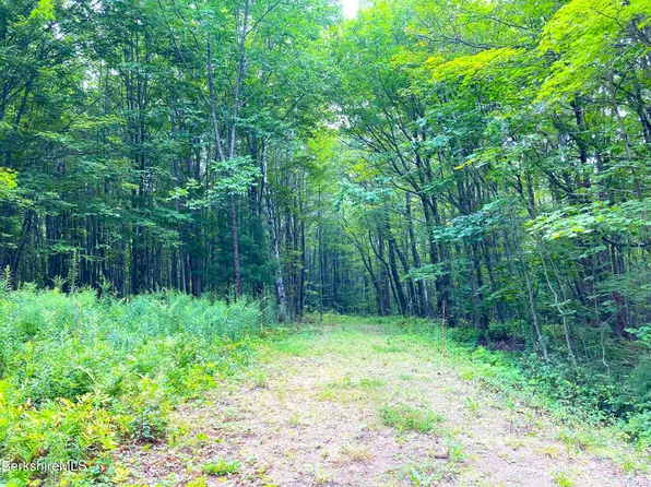Monroe Rd, Florida, MA 01247