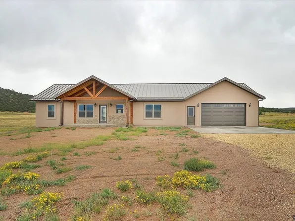 1441 County Road 310, Westcliffe, CO 81252