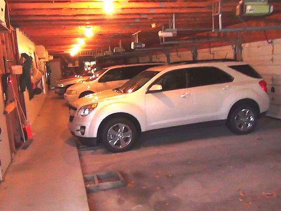 Garage Interior shows Spot