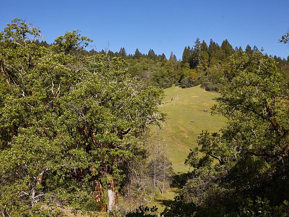 5th image of 18574 Tomki Rd