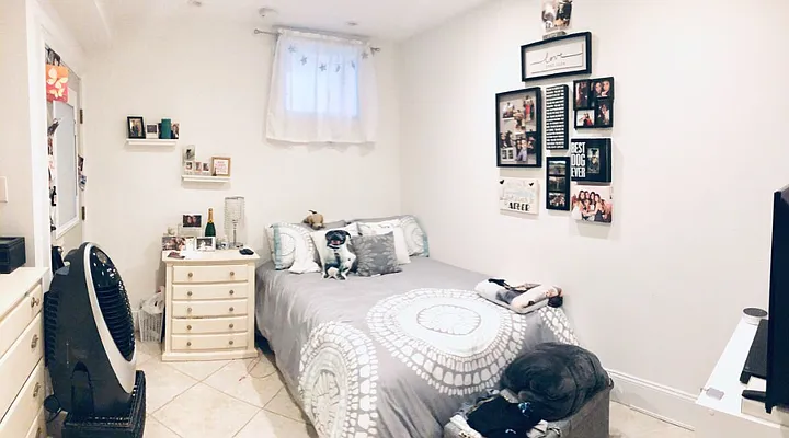 Rented by Level Group | media 4