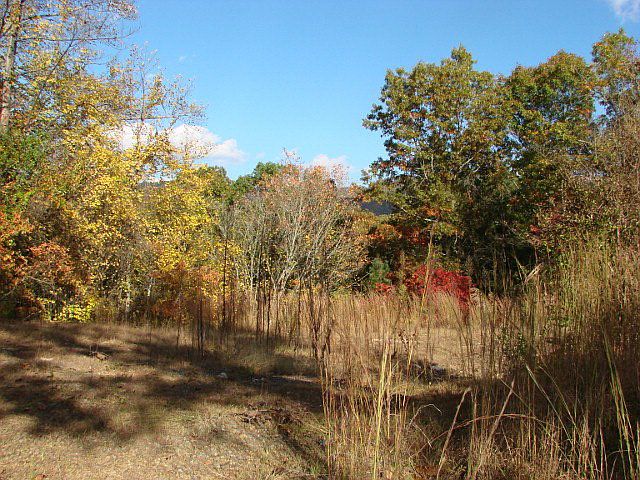 2nd image of 585 Mission Ridge Rd