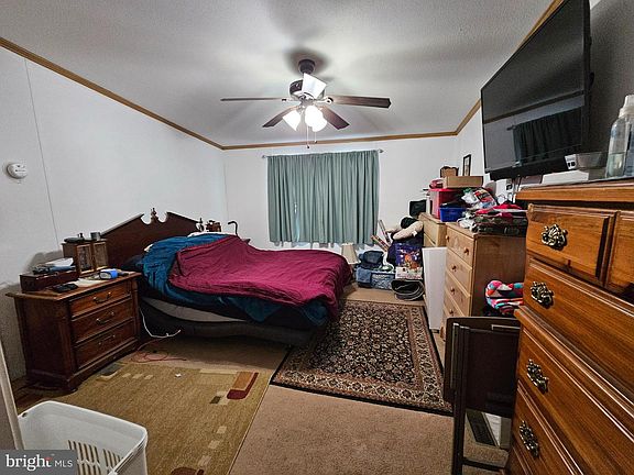 5th image of 21 Vanessa Ave